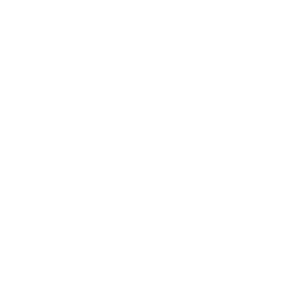 Damascus Bakeries Bred in Brooklyn Since 1930 Seal